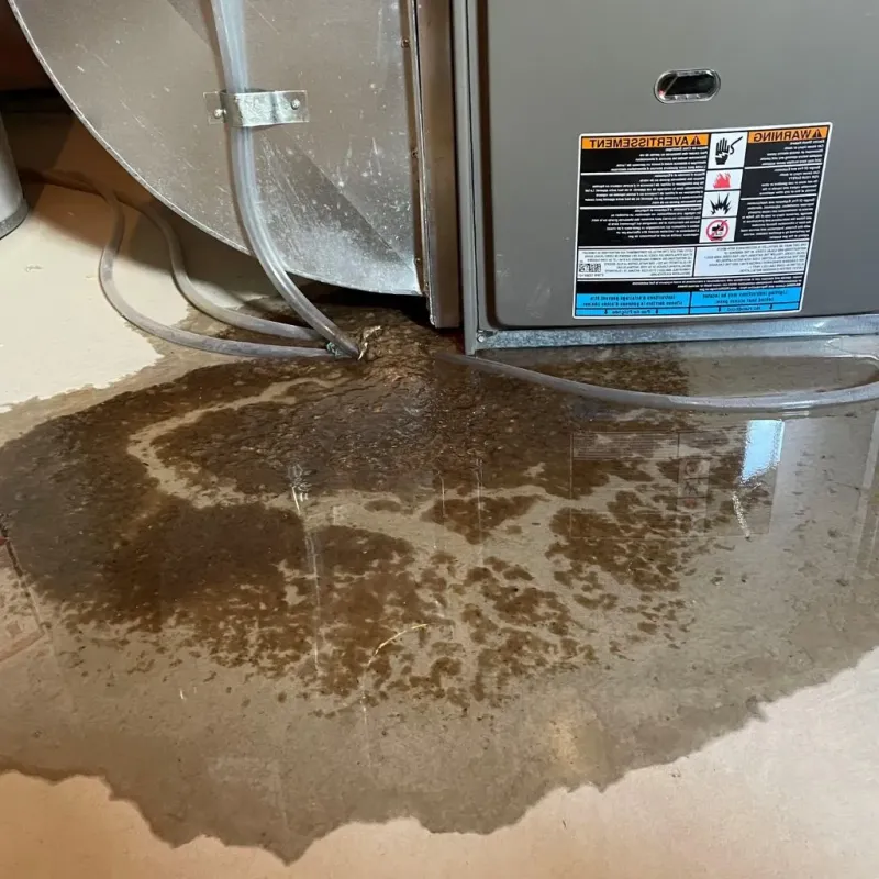 Pipe Burst and Leak Restoration in Grundy County, TN